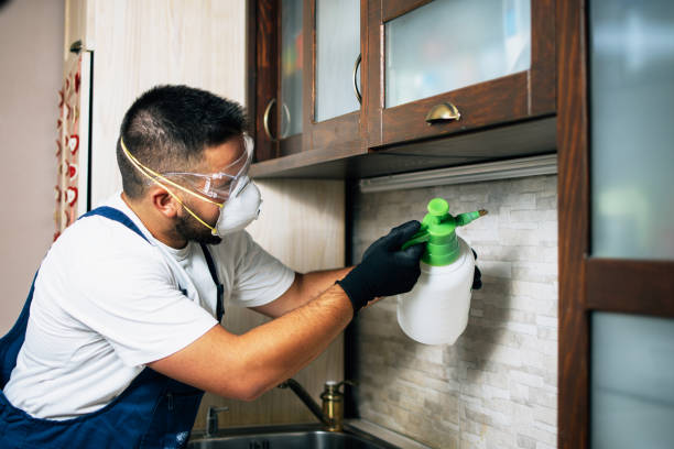 Trusted Grant, AL Pest Control Experts