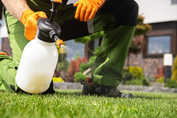 Best Flea Control Services  in Grant, AL