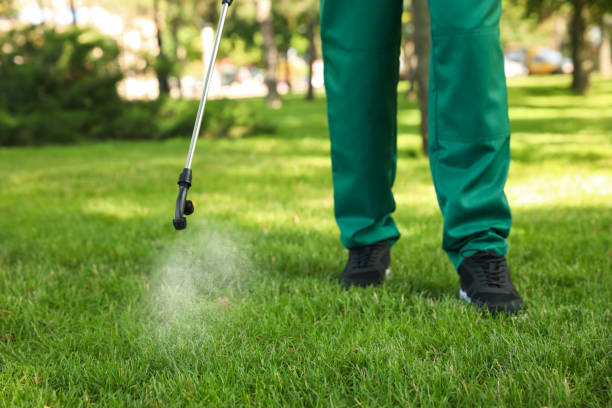 Best Wasp Removal Services  in Grant, AL