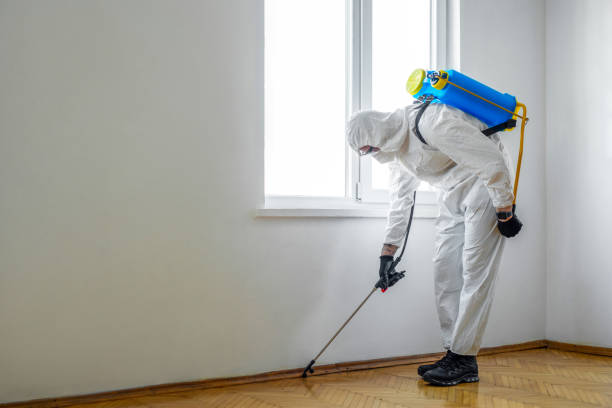 Best Pest Prevention Services  in Grant, AL