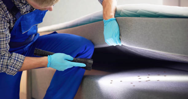 Best Wasp Removal Services  in Grant, AL