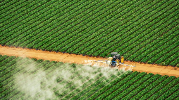 Best Pest Control Near Me  in Grant, AL