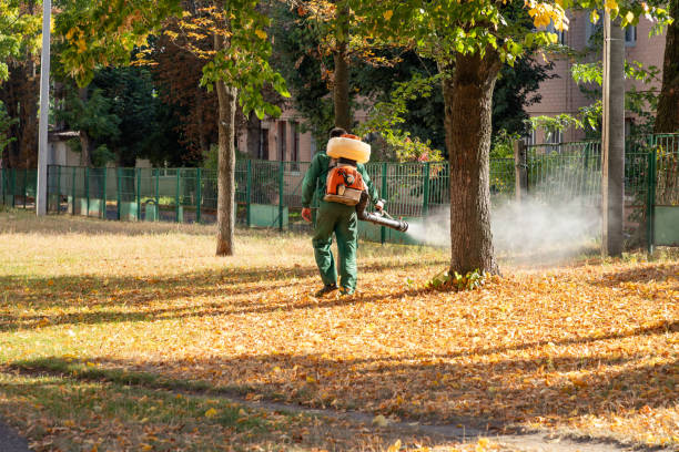 Best Termite Control Services  in Grant, AL