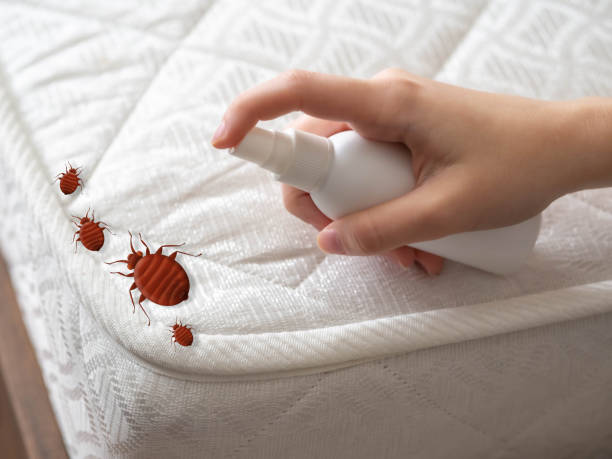 Best Pest Inspection Near Me  in Grant, AL