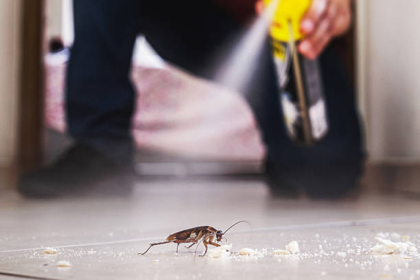 Best Mosquito Control Services  in Grant, AL