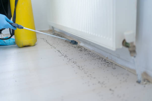 Best Pest Control for Businesses  in Grant, AL