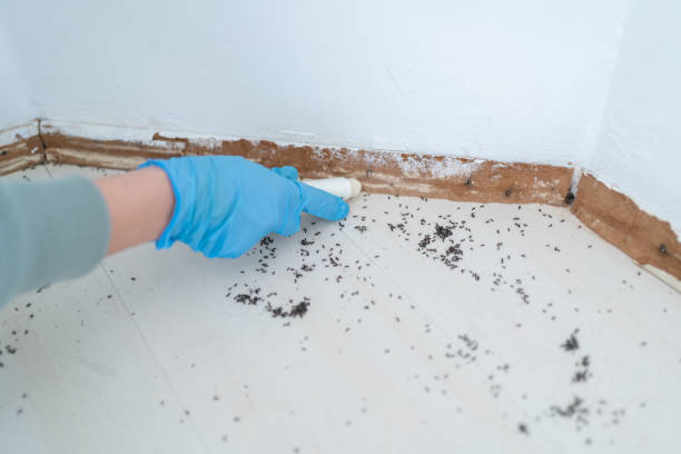 Best Best Pest Control Companies  in Grant, AL